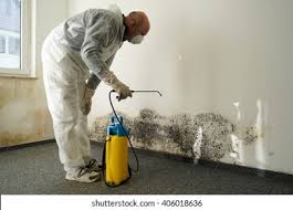 Why You Should Choose Our Mold Remediation Services in Sonoma, CA